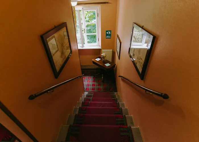 호텔 Dei Limoni 루카